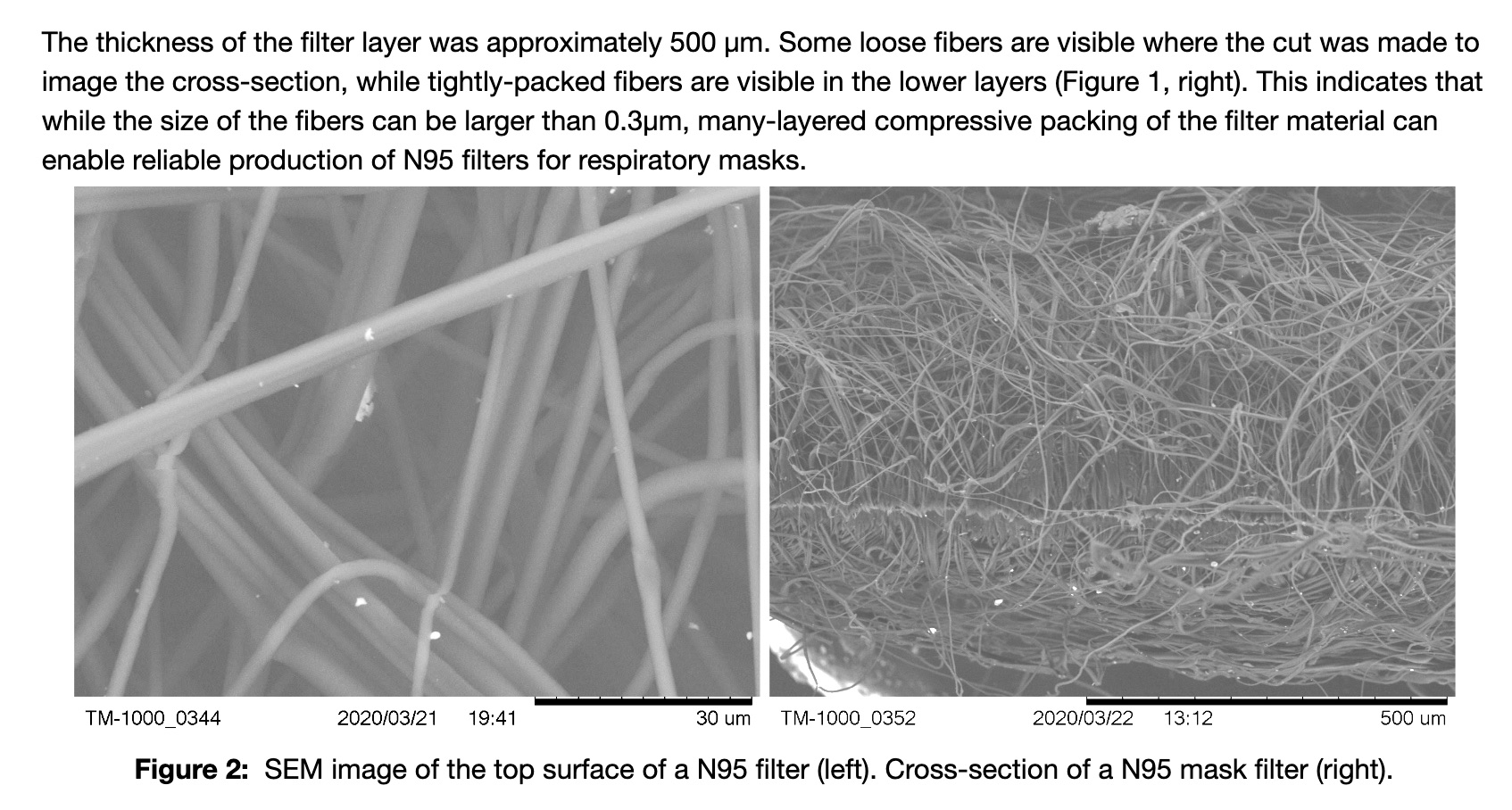 N95_SEM.jpg
